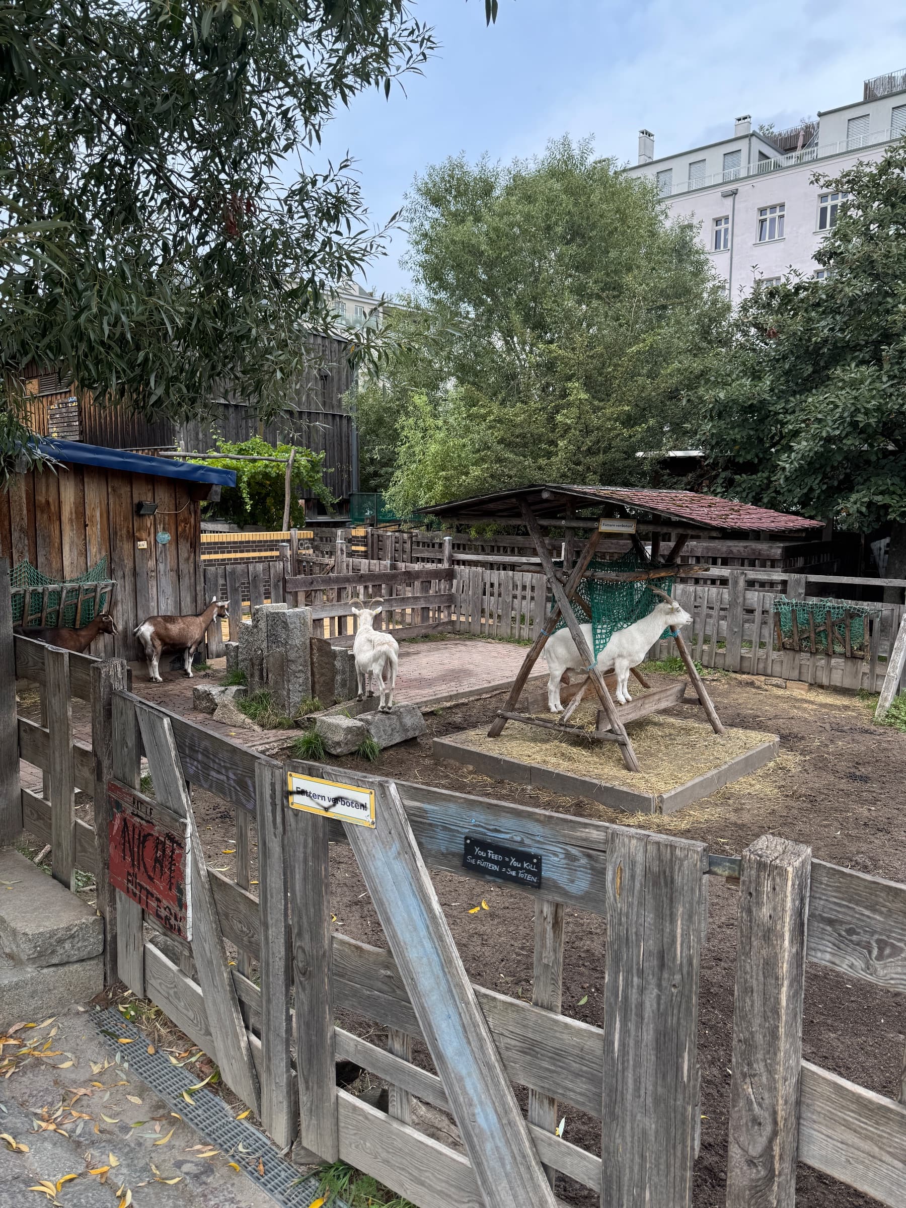 Moritzhof Petting Farm, photo 1